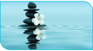 Ebook y books El Canal Holístico